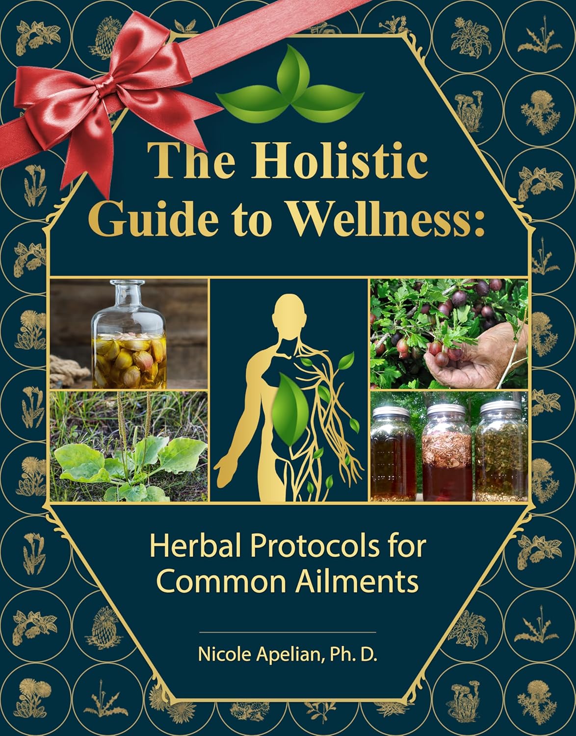 Complete Holistic Wellness Protocols Guide