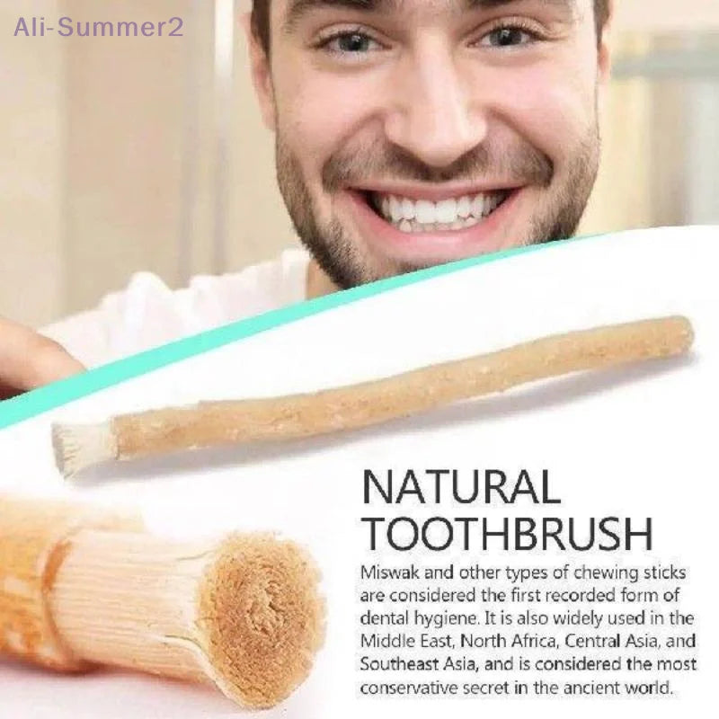 Eco-Friendly Miswak Toothbrush